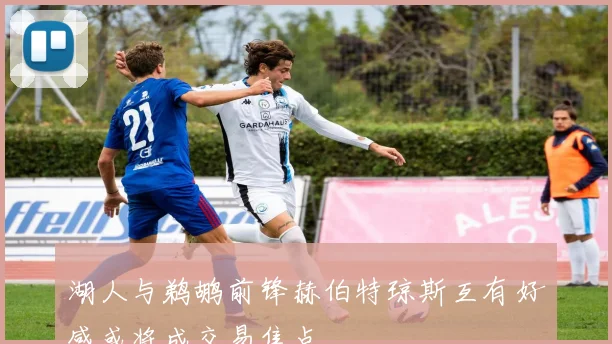 湖人与鹈鹕前锋赫伯特琼斯互有好感或将成交易焦点